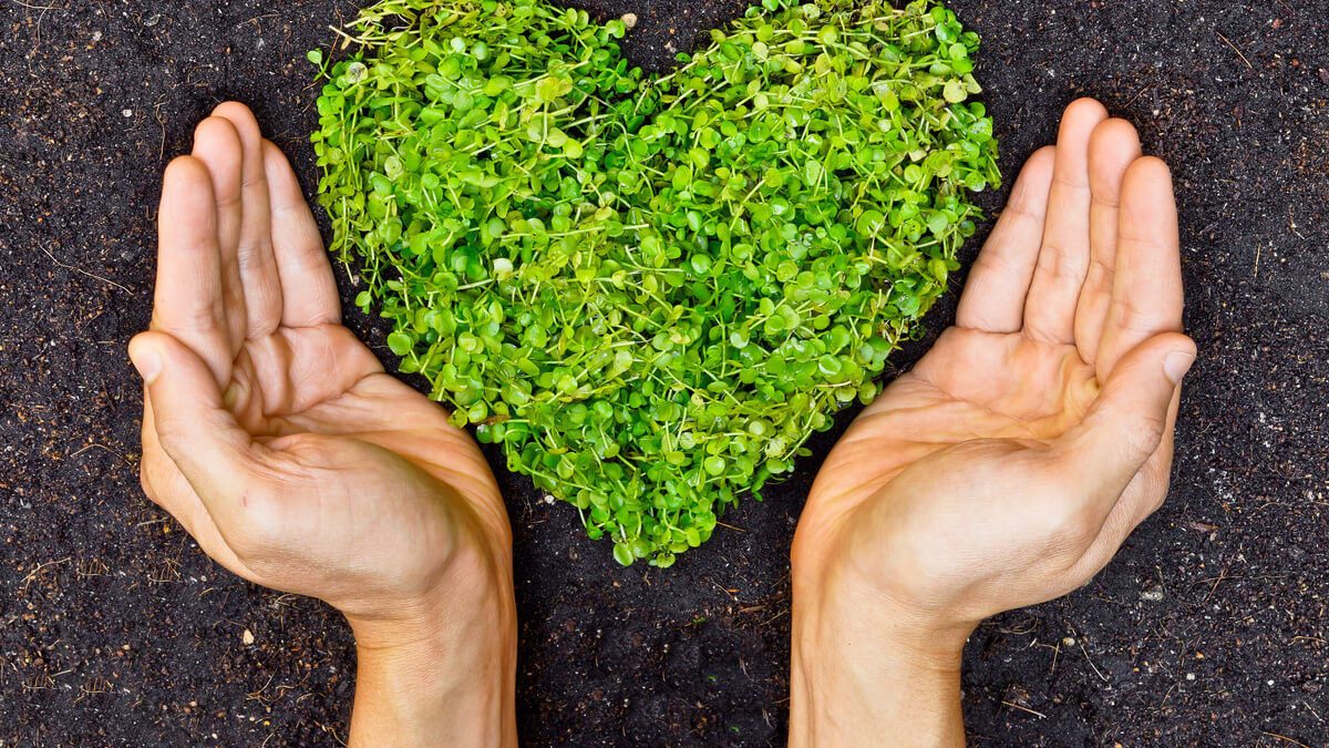 CSR - zielone serce